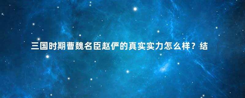 三国时期曹魏名臣赵俨的真实实力怎么样？结局如何？