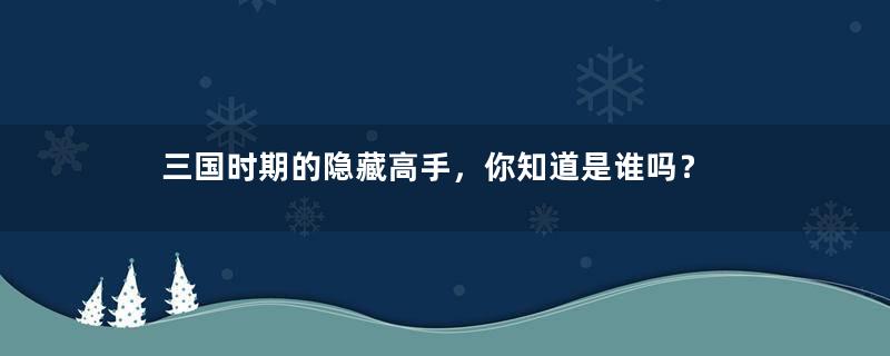 三国时期的隐藏高手，你知道是谁吗？