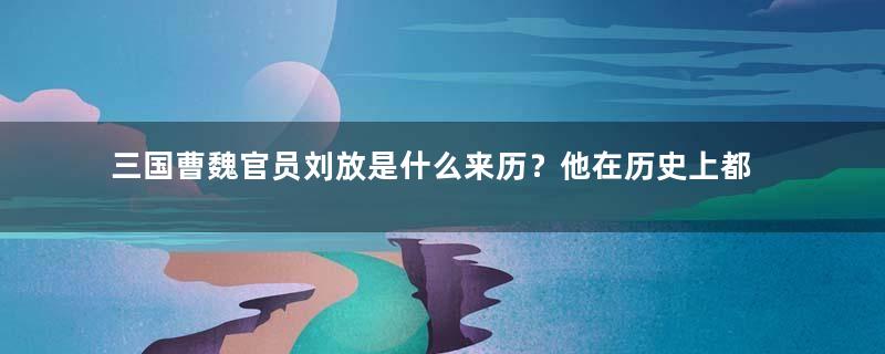 三国曹魏官员刘放是什么来历？他在历史上都有哪些事迹？