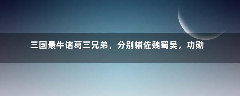 三国最牛诸葛三兄弟，分别辅佐魏蜀吴，功勋卓著还互不影响