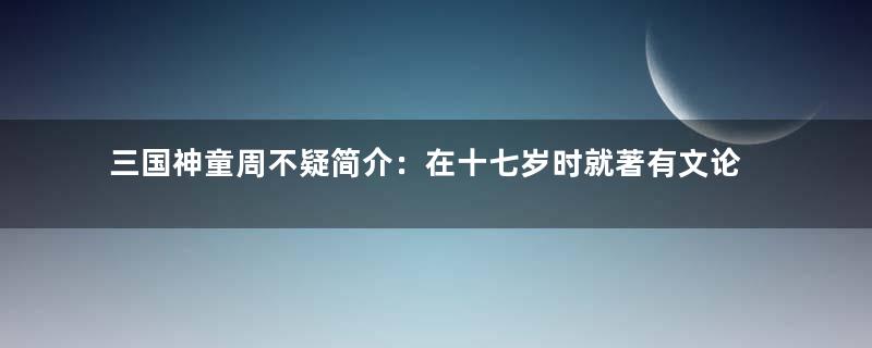 三国神童周不疑简介：在十七岁时就著有文论四首