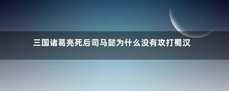 三国诸葛亮死后司马懿为什么没有攻打蜀汉