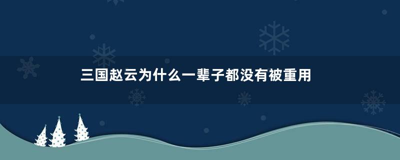 三国赵云为什么一辈子都没有被重用