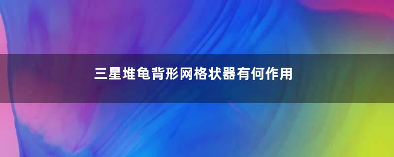 三星堆龟背形网格状器有何作用