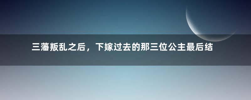 三藩叛乱之后，下嫁过去的那三位公主最后结局怎么样？