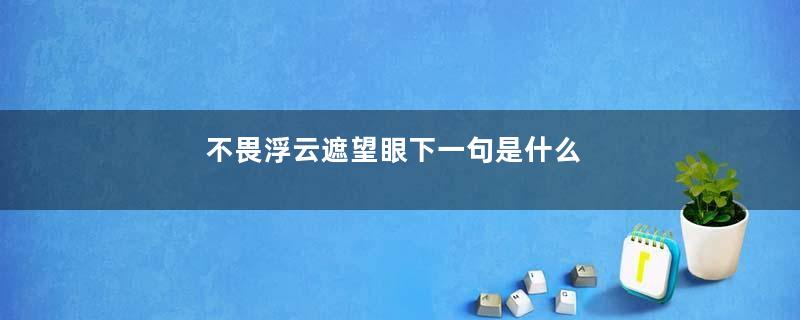 不畏浮云遮望眼下一句是什么