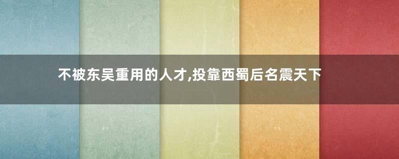 不被东吴重用的人才,投靠西蜀后名震天下