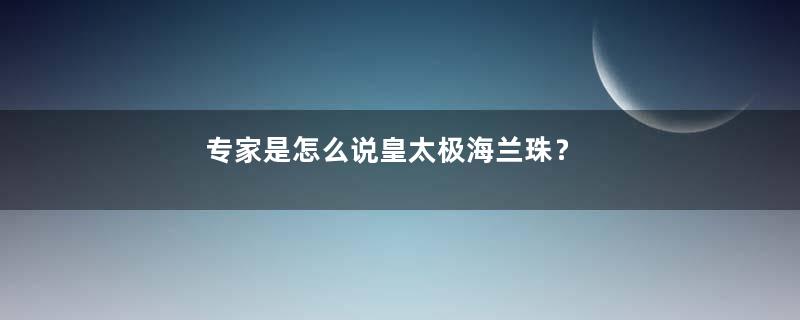 专家是怎么说皇太极海兰珠？