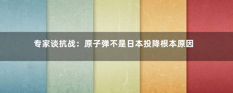 专家谈抗战：原子弹不是日本投降根本原因