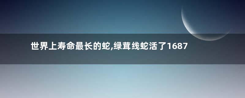 世界上寿命最长的蛇,绿茸线蛇活了1687岁