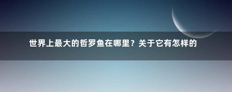 世界上最大的哲罗鱼在哪里？关于它有怎样的传说？