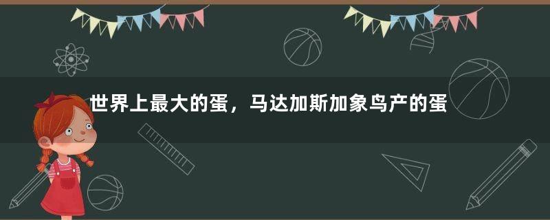 世界上最大的蛋，马达加斯加象鸟产的蛋