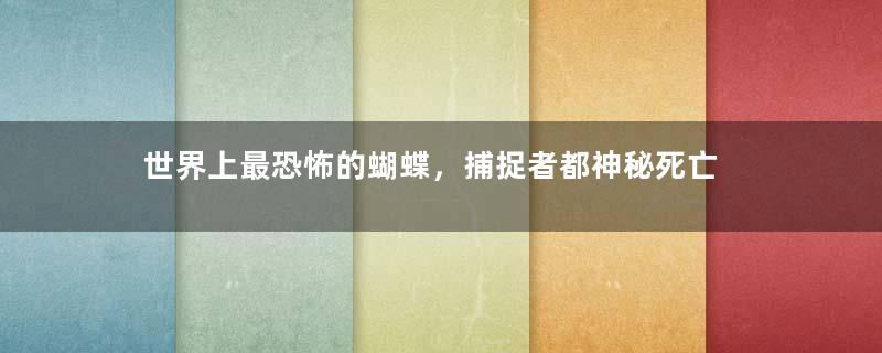 世界上最恐怖的蝴蝶，捕捉者都神秘死亡