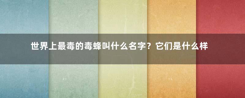 世界上最毒的毒蜂叫什么名字？它们是什么样的生物？