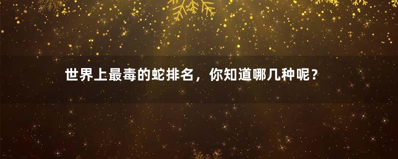世界上最毒的蛇排名，你知道哪几种呢？