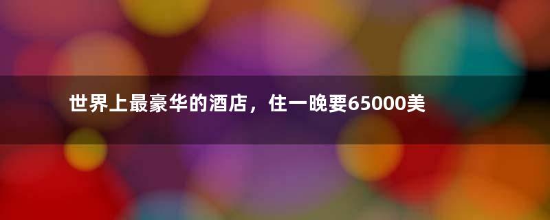 世界上最豪华的酒店，住一晚要65000美元