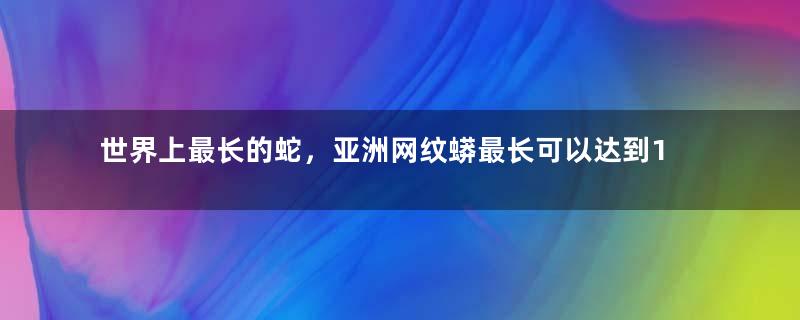 世界上最长的蛇，亚洲网纹蟒最长可以达到12米