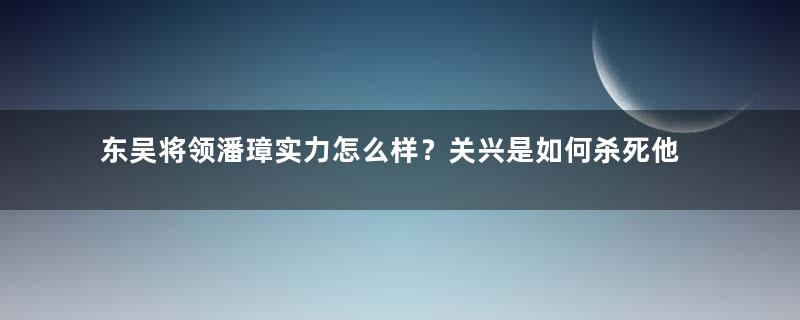 东吴将领潘璋实力怎么样？关兴是如何杀死他的