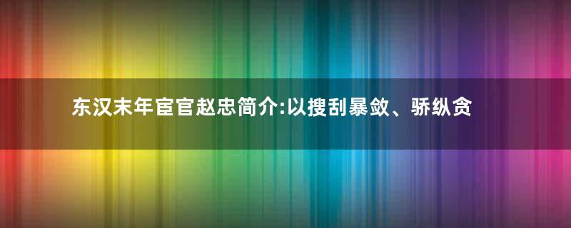 东汉末年宦官赵忠简介:以搜刮暴敛、骄纵贪婪见称