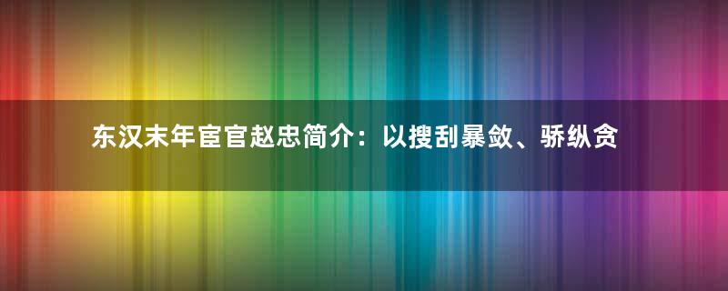 东汉末年宦官赵忠简介：以搜刮暴敛、骄纵贪婪见称