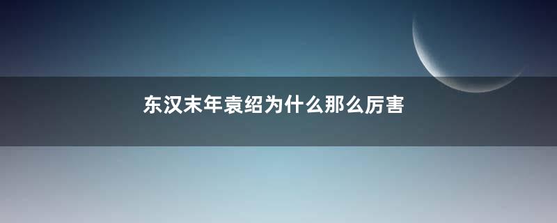 东汉末年袁绍为什么那么厉害