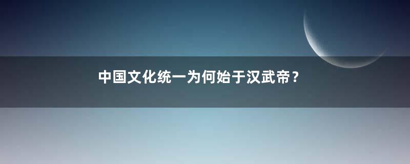 中国文化统一为何始于汉武帝？