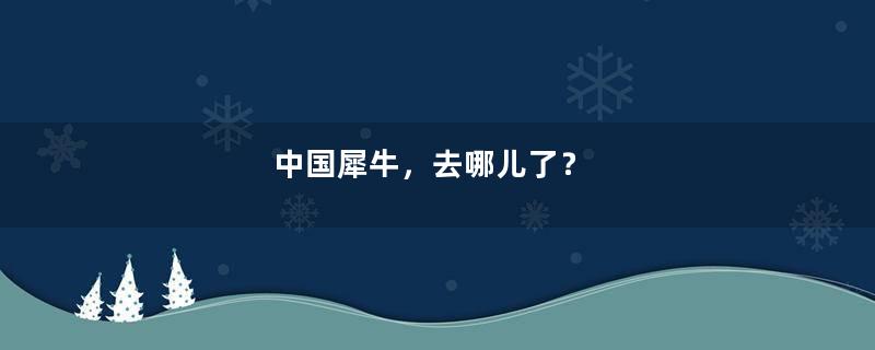 中国犀牛，去哪儿了？