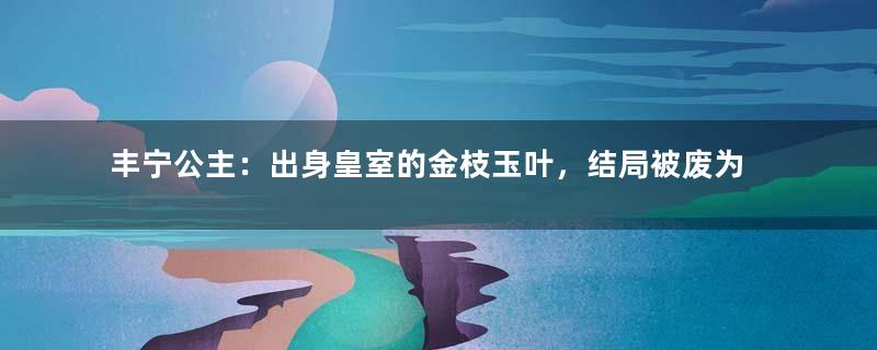 丰宁公主：出身皇室的金枝玉叶，结局被废为庶人