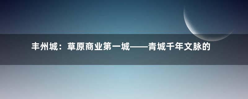 丰州城：草原商业第一城——青城千年文脉的五颗明珠（之三）