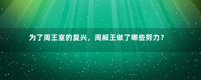 为了周王室的复兴，周赧王做了哪些努力？