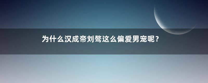 为什么汉成帝刘骜这么偏爱男宠呢？