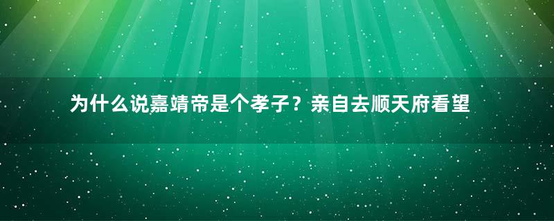 为什么说嘉靖帝是个孝子？亲自去顺天府看望父母的陵墓