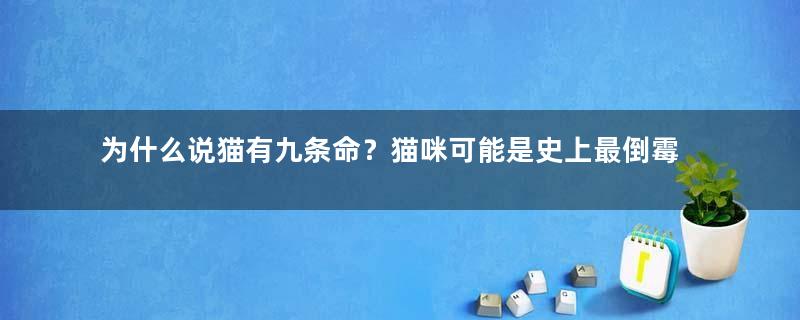 为什么说猫有九条命？猫咪可能是史上最倒霉的动物了