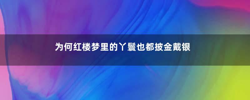 为何红楼梦里的丫鬟也都披金戴银