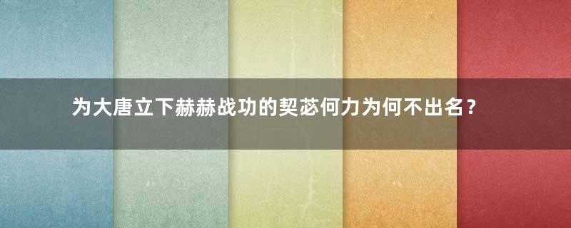 为大唐立下赫赫战功的契苾何力为何不出名？