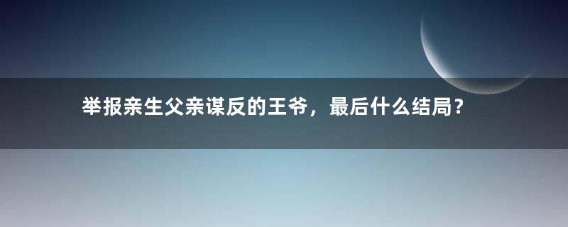 举报亲生父亲谋反的王爷，最后什么结局？