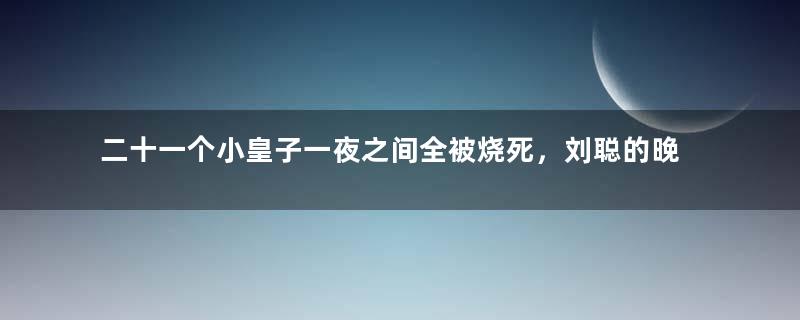 二十一个小皇子一夜之间全被烧死，刘聪的晚年有多惨？