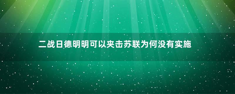 二战日德明明可以夹击苏联为何没有实施