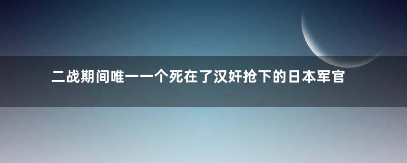 二战期间唯一一个死在了汉奸抢下的日本军官