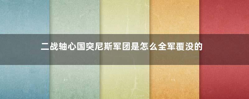 二战轴心国突尼斯军团是怎么全军覆没的