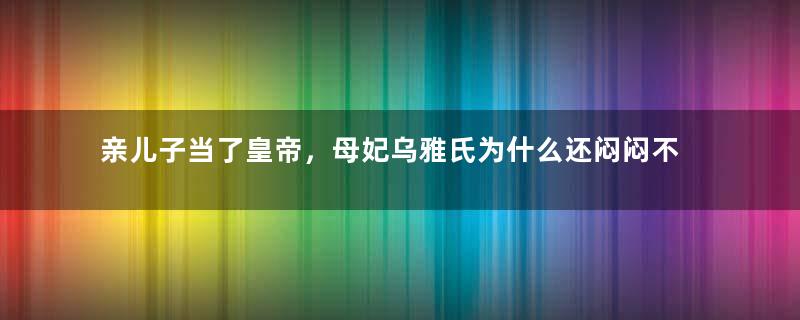 亲儿子当了皇帝，母妃乌雅氏为什么还闷闷不乐？