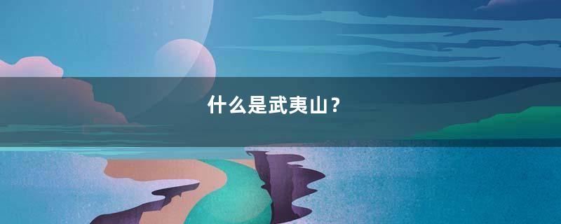 什么是武夷山？