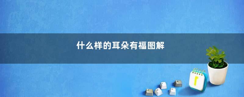 什么样的耳朵有福图解