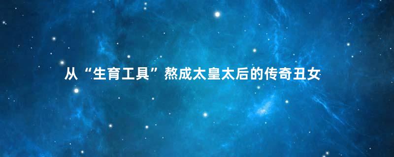 从“生育工具”熬成太皇太后的传奇丑女
