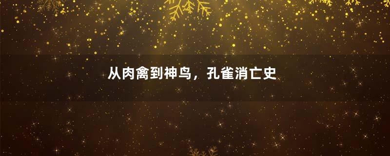 从肉禽到神鸟，孔雀消亡史