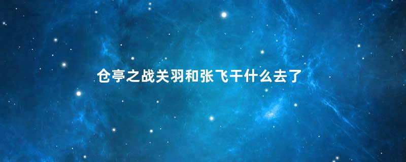仓亭之战关羽和张飞干什么去了