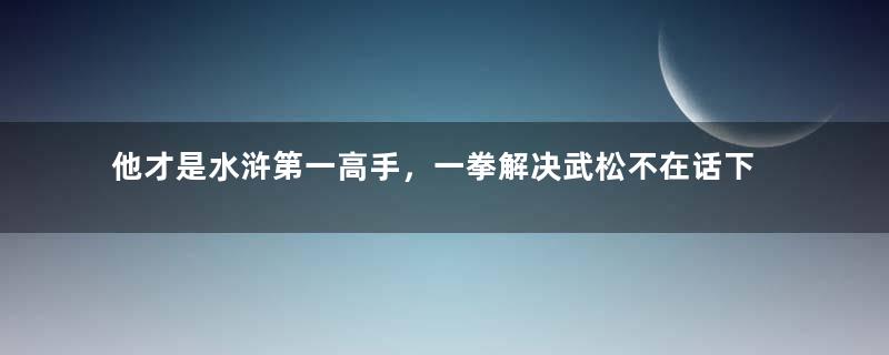 他才是水浒第一高手，一拳解决武松不在话下，林冲也要跪下叫师傅