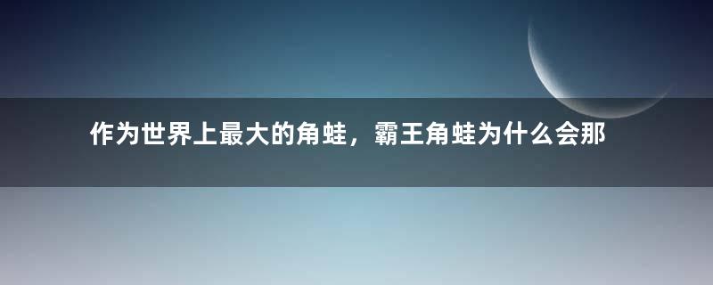 作为世界上最大的角蛙，霸王角蛙为什么会那么凶残？