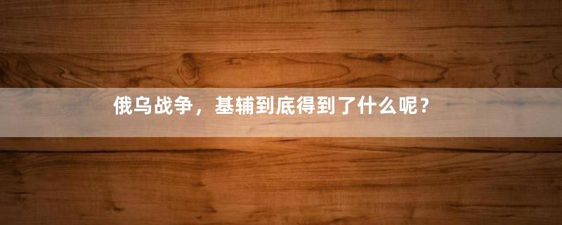 俄乌战争，基辅到底得到了什么呢？