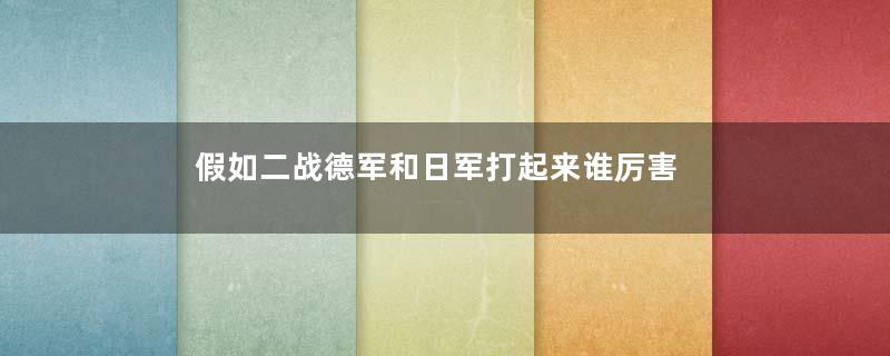 假如二战德军和日军打起来谁厉害